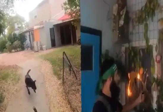 hamas,  militants,  burn,  israeli,  family,  house,  shot,  dog,  who,  tried,  stop,  them,  chilling,  video,  hamas-militants-burn-israeli-familys-house-shot-dog-who-tried-stop-them-chilling-video- True Scoop