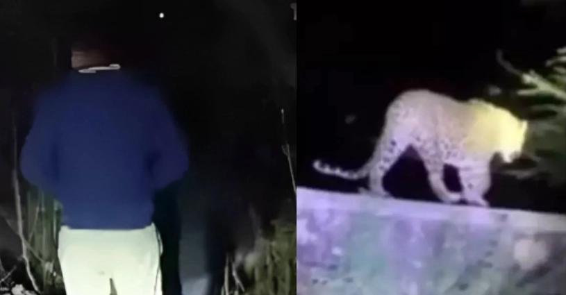 ludhiana, leopard, ludhiana police, forest department, public safety, ludhiana leopard, leopard ludhiana, daily punjab news, ludhiana news, centra green flats ludhiana, leopard spotted, cctv, viral video- True Scoop