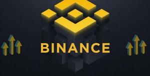 govt, blocks, urls, binance, other, crypto, firms, for, illegal, ops, india, govt-blocks-urls-binance-other-crypto-firms-illegal-ops-india- True Scoop