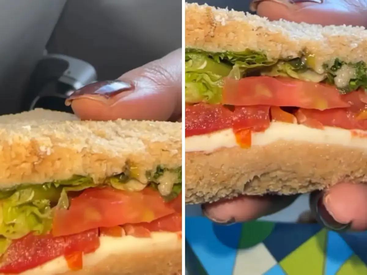 Indigo flight, insect in sandwich, poor quality food, Complaint against Indigo, poor service, Indigo flight Delhi to Mumbai, India, passenger complains, Insect crawling from sandwich, video viral of sandwich- True Scoop