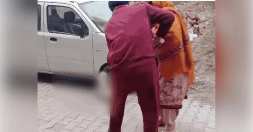 Punjab, Trending, Ludhiana news, Local News, Animal Brutality, Stray Dogs Ludhiana, Stray dogs Punjab, Ludhiana Help for Animals NGO, Punjab News today, Daily Punjab News, Dashmesh Colony Ludhiana, Pratapura Ludhiana- True Scoop