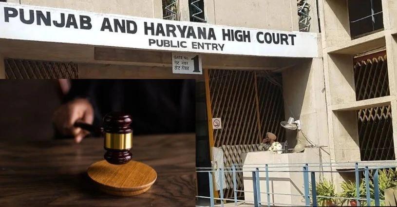 Punjab, Trending, Municipal Corporation Elections, Punjab Haryana High Court, Punjab Municipal Corporations, Elections, High court issues notice Punjab, Punjab news today, Daily news- True Scoop