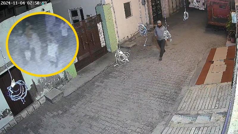 Ludhiana Thief open fires, Ludhiana thief cutting electricity lights, Ludhiana thief fires, Ludhiana news, Punjab, Trending, Prince Ludhiana incident- True Scoop