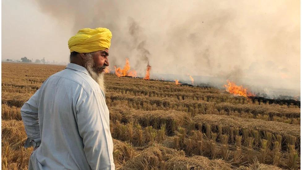 Punjab, Trending, Amritsar AQI worsen, Umendra Dutt, Agriculture expert Umendra Dutt, Amritsar AQI, Punjab AQI, Punjab pollution, Punjab News, Punjab pollution reason- True Scoop