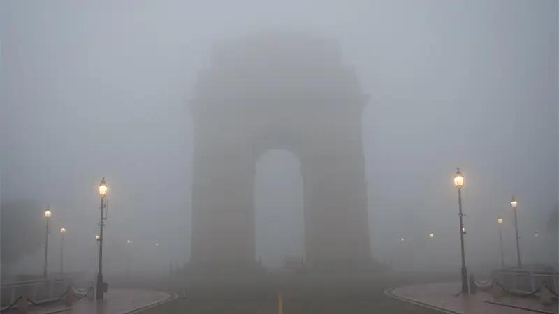 India, Trending, GRAP 3, GRAP 3 Delhi, What is GRAP 3, GRAP 3 Banned Activities List, What is GRAP AQI, GRAP Delhi, Delhi School Closed GRAP 3, Delhi QAQI- True Scoop