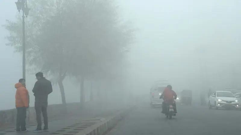 India, Trending, Haryana AQI, Haryana Schools Closed, Haryana Air Pollution, Haryana Schools Closure, Panchkula School Shut Down- True Scoop