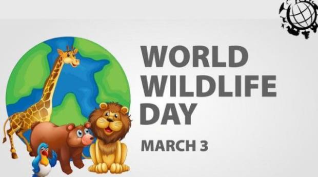 World wildlife day, world wildlife day 2022, Jim Corbett National Park, Ranthambore National Park,  Kaziranga National Park, Sundarbans National Park, Periyar National Park, top 5 wildlife sanctuaries, top 5 wildlife sanctuaries in India, trending news, top news, truescoop news- True Scoop