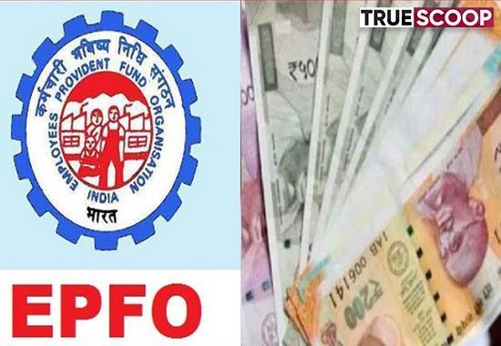 Employees provident fund, Employees provident fund interest rate, PF rates slashed by the ministry, Ministry reduces PF rates, Finance Ministry, EPFO, Employees Provident Fund Organisation, Trending News, Business News- True Scoop