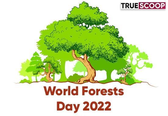 World Forests Day 2022, International day of forests, save trees save forests, United Nations General Assembly, World Forests Day history, World Forests Day theme, Forests play crucial role, Trending News- True Scoop