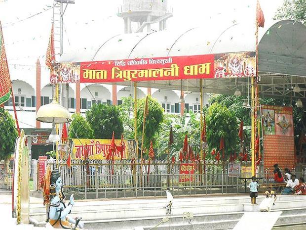 Maa Tripurmalini temple, Chaitra Navratri, Maa Tripurmalini Devi Dham, Maa Tripurmalini Devi Dham Jalandhar, Devi Talab Mandir Jalandhar, Jalandhar News, Punjab News- True Scoop