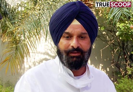 Akali leader Bikram Majithia, Bikram Majithia drug case, Drug case petition, CM Bhagwant Mann, Punjab News, Punjab News Today, Latest Punjab News, Top Punjab News, Punjab News Live, Punjab News Update- True Scoop