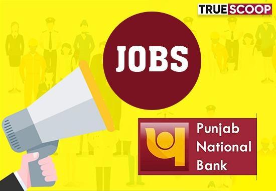 Punjab National Bank, PNB jobs, Specialist officer post, Chartered accountant, Management accountant, PNB website, PNB salary- True Scoop