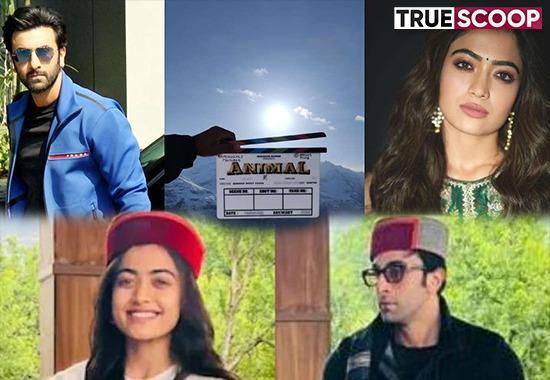 Ranbir Kapoor Rashmika Mandanna, Ranbir Kapoor Animal Movie, Rashmika Mandanna, Ranbir Rashmika Animal Movie, Manali, Ranbir Rashmika Movie, Animal Movie Release Date, Sandeep Reddy Vanga, Sandeep Reddy South- True Scoop