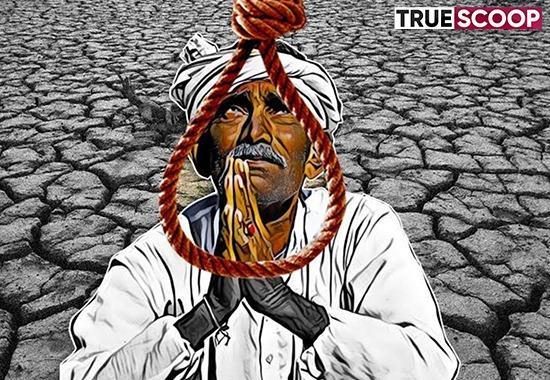 Aam Aadmi Party, 14 FARMERS COMMIT SUICIDE, FARMERS SUICIDE IN PUNJAB, Farmers Power crisis,  DAP fertilizers, Punjab News- True Scoop