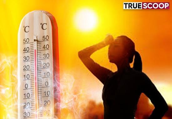 Rising Temperature, Summers, Excess heat, Amritsar, Ludhiana, Jalandhar, Patiala, Meteorological Department, India News, India News Today, India News Live, India Live Updates- True Scoop