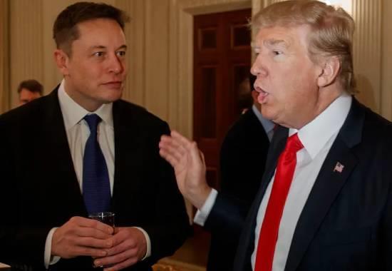 Elon Musk Donald Trump, Elon Musk Donald Trump Twitter, Donald Trump Elon Musk Encourage, Twitter Elon Musk Donald Trump, World News, World News Today,Top World News, World News Headlines,World Breaking News,International News,Latest World News, Politics News- True Scoop