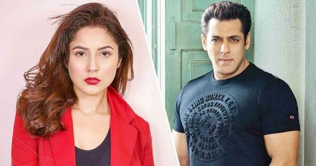 Kabhi Eid Kabhi Diwali, Kabhi Eid Kabhi Diwali Salman Khan, Shehnaaz Gill Salman Khan, Kabhi Eid Kabhi Diwali Shooting, Salman Khan Next Movie, Shehnaaz Gill Salman Khan, Shehnaaz Gill Bollywood Movie, Shehnaaz Gill Kabhi Eid Kabhi Diwali, Salman Khan Movie Shoot, Kabhi Eid Kabhi Diwali- True Scoop