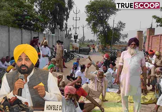 FarmerProtests News, MSP, Bhagwant Mann, Kisan Bhavan, Meeting 10 Demands, List of Demands, AAP, Congress, SKM, Heatwave, Moongi, Wheat, Panchayati lands- True Scoop