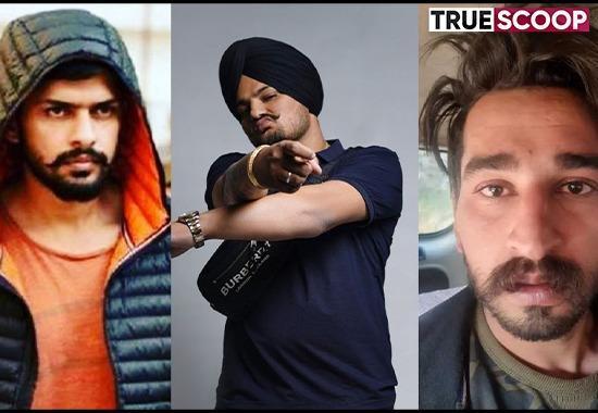 Punjab News, Punjab News Today, Latest Punjab News, Top Punjab News, Punjab News Live, Punjab News Update Sidhu Moosewala, Lawrence Bishnoi, Goldy Brar, why sidhu moosewala killed, vicky midhukhera, gangwar, DGP Punjab, who killed sidhu moosewala,  who is lawrence bishnoi, where is lawrence bishnoi, now where is goldy brar, gangster goldie brar who killed sidhu moosewala, who is sidhu moose wala,  sidhu moose wala death reason, sidhu moose wala death News, news about sidhu moosewala- True Scoop