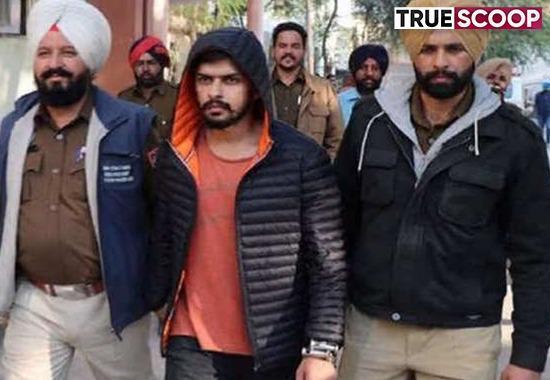 Lawrence Bishnoi, Lawrence Bishnoi Delhi Jail, Lawrence Bishnoi Tihar, Lawrence Bishnoi Gang, Sidhu Moose Wala Lawrence Bishnoi, Goldy Brar, Lawrence Bishnoi Punjab Jail, Lawrence Bishnoi Photo, Lawrence Bishnoi Punjab Court, Lawrence Bishnoi Latest News, Lawrence Bishnoi Punjab- True Scoop