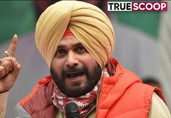 Navjot Sidhu, Navjot Sidhu in PGI, Sidhu fell ill, Punjab News, Punjab News Today, Latest Punjab News, Top Punjab News, Punjab News Live, Punjab News Update- True Scoop