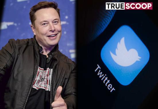 Trending news,Live,Breaking news,Current Affairs news,English news, Elon Musk, Twitter,- True Scoop