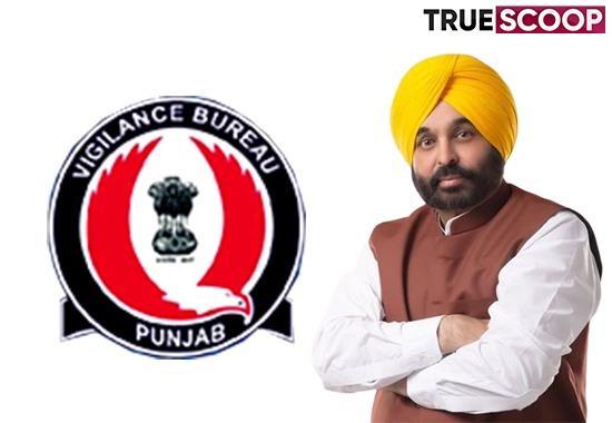 Irrigation scam, Forest scam, Big scam in Punjab, Tender scam, Bhagwant Mann, Bhagwant Mann, Punjab News, Punjab News Today, Latest Punjab News, Top Punjab News, Punjab News Live, Punjab News Update- True Scoop