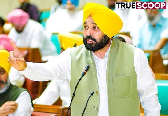 CM Mann, Bhagwant Mann, CM Bhagwant Mann All Decisions Punjab, Punjab Decision CM Mann, Mann Govt 1 Month, CM Mann 300 Unit Free Electricity, CM Bhagwant Mann Kejriwal, Kejriwal Bhagwant Mann AAP, Mann Meeting Today- True Scoop