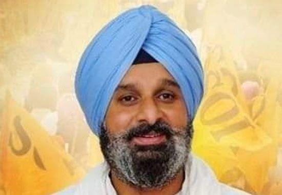 Akali leader Bikram Majithia, Bikram Majithia bail, Punjab and Haryana High Court, Akali Dal, Punjab News, Punjab News Today, Latest Punjab News, Top Punjab News, Punjab News Live, Punjab News Update- True Scoop