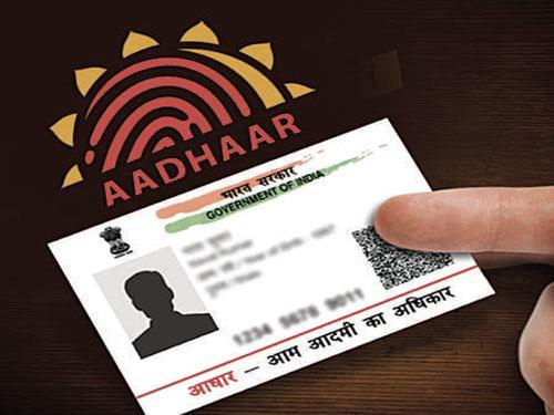 India News, India News Today, India News Live, India Live Updates, UIDAI, Aadhaar Card, How to Update Aadhaar, Aadhaar Card Update, Steps to Update Aadhaar- True Scoop