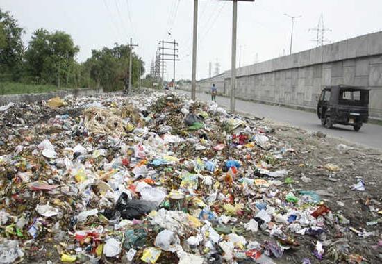 Jalandhar, Punjab, Waste dumps, Waste dumps in Punjab, Punjab News, Punjab News Today, Latest Punjab News, Top Punjab News, Punjab News Live, Punjab News Update- True Scoop