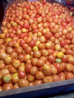 World News, World News Today,Top World News, World News Headlines,World Breaking News,International News,Latest World News, Politics News, Tomato, 500 per kilo in Lahore- True Scoop