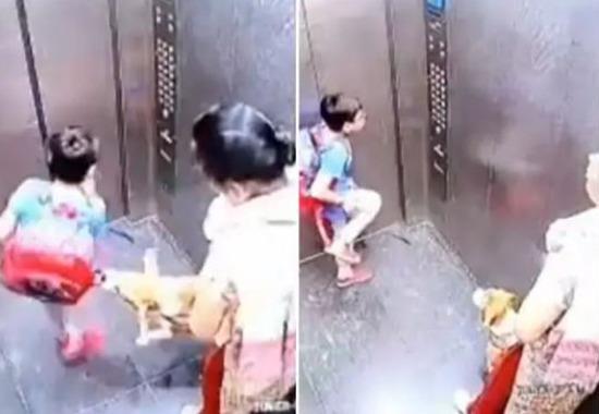 Viral Video, Viral Video Ghaziabad, Dog bites child, Ghaziabad news, dog bites child viral video, India News, India News Today, India News Live, India Live Updates- True Scoop