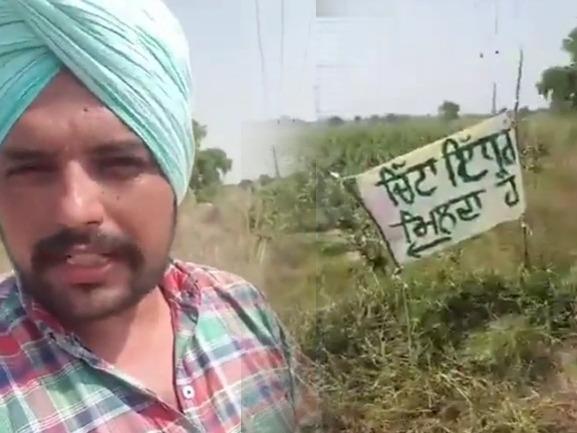 Bathinda, Chitta on sale Bathinda, Bathinda viral video, drug abuse in Punjab, Punjab News, Punjab News Today, Latest Punjab News, Top Punjab News, Punjab News Live, Punjab News Update- True Scoop