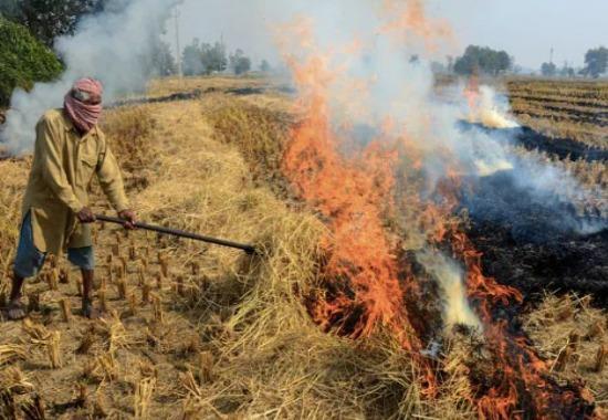 Farm fires, AQI Punjab, Pollution Punjab, Nakodar Village, Alternative of Stubble Burning, Farm fires, Punjab, Stubble Burning Punjab, Stubble Burning Pollution, Punjab News, Punjab News Today, Latest Punjab News, Top Punjab News, Punjab News Live, Punjab News Update- True Scoop