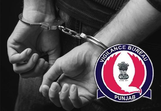 Vigilance Bureau, Prosecution sanction, Guramanpreet Singh Case, DFO Mohali, VK Janjua, Punjab News, Punjab News Today, Latest Punjab News, Top Punjab News, Punjab News Live, Punjab News Update- True Scoop