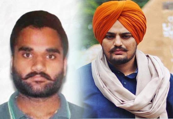 Sidhu Moosewala, Sidhu Moosewala Murder, Goldy Brar, Goldy Brar detained, Goldy Brar arrested, Goldy Brar california, Sidhu Mooosewala killing, Justice for Sidhu Moosewala, Punjab News, Punjab News Today, Latest Punjab News, Top Punjab News, Punjab News Live, Punjab News Update- True Scoop