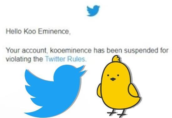 India News, India News Today, India News Live, India Live Updates, Koo Account Suspended On Twitter, Twitter Suspends Koo Eminence Account on Twitter, News on Suspension of Koo Twitter Account, Koo Twitter Account Suspension, Elon Musk and Koo, Twitter and Koo, Twitter and Suspension of Koo Twitter Account, Why was Koos Twitter Account Suspended, Reason Behind Suspension of Koos Twitter Account- True Scoop