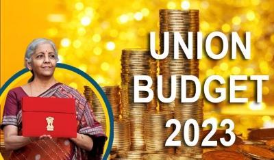 Budget 2023, 2023 Budget, Nirmala Sitharaman, Nirmala Sitharaman Budget 2023, 2023 Budget Nirmala Sitharaman- True Scoop