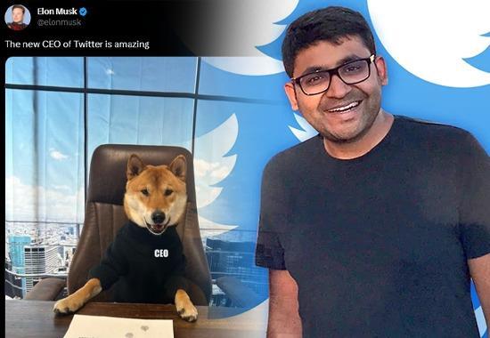 Elon Musk, Twitter new CEO, Twitter gets new CEO, Parag Aggarwal, Twitter new CEO Dog, Elon Musk pet dog new twitter CEO, Twitter CEO, Floki Twitter CEO, Elon Musk pet dog, World News, World News Today,Top World News, World News Headlines,World Breaking News,International News,Latest World News, Politics News- True Scoop