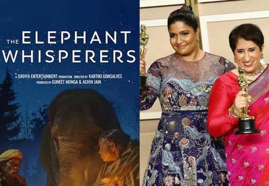 elephant whisperers guneet monga, elephant whisperers kartiki gansalves, elephant whisperers, elephant whisperers oscar, where to watch elephant whisperers, elephant whisperers netflix, elephant whisperers available on netflix, elephant whisperers oscar for best short film, when where to watch elephant whisperers, Hollywood News Today, Latest Hollywood News, Top Hollywood News, Hollywood Updates,Entertainment News, Entertainment News Today, Latest Entertainment News, Top Bollywood News, Top Celebrity News- True Scoop