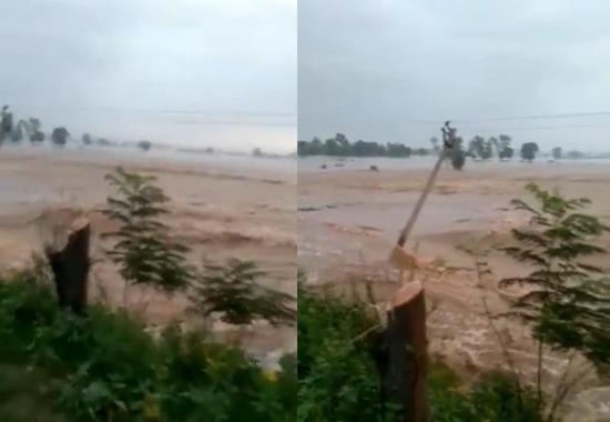 Punjab Monsoon Update, Punjab Monson Report, Ludhiana Monsoon, Ludhiana Flood, Jalandhar Flood, Phillaur Flood, Punjab News, Punjab News Today, Latest Punjab News, Top Punjab News, Punjab News Live, Punjab News Update- True Scoop