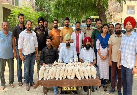 Punjab News, Punjab News Today, Latest Punjab News, Top Punjab News, Punjab News Live, Punjab News Update, Punjab, drug free, held, heroin, arrested, Fazilka, CM, Bhagwant Mann, DGP,- True Scoop